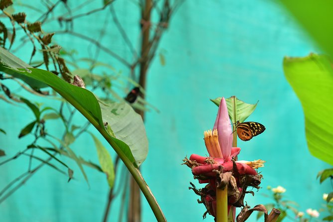 Mindo Adventure. - Inclusions and Exclusions