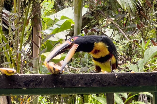 Mindo Cloud Forest From Quito Full Day - Inclusions and Exclusions