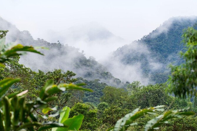 Mindo Cloud Forest Private Day Tour From Quito Hiking, Birding, Waterfalls - Tour Itinerary