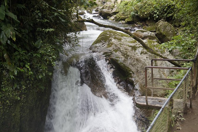 Mindo Cloudforest and Birdwatching From Quito by ECUADORTREASURE - Pricing and Booking