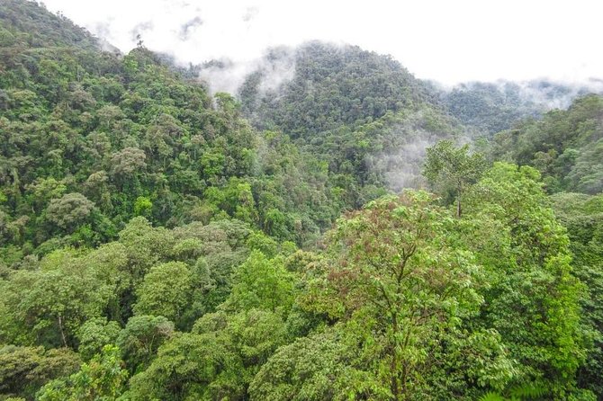 Mindo Things to Do - Mindo Waterfall Hikes