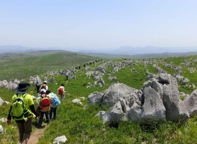 Mine City Tour Yamaguchi Prefecture, Japan - Exploring Akiyoshi Cave