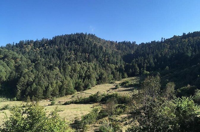 Mineral del Monte Hidalgo Mountain Bike Tour - Who Will Enjoy This Tour?