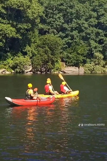 Minho: Kayak Tour With Professional Guide - Included Features