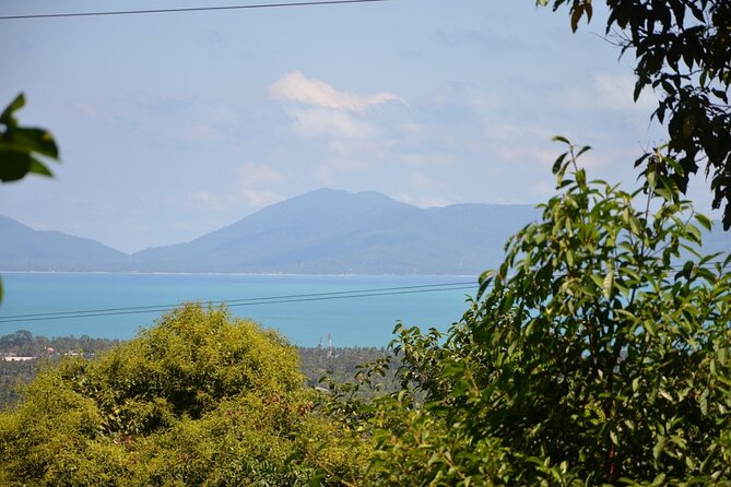 Mini ATV Safari 1 Hours Jungle Adventure Tour on Koh Samui - Questions and Contact Information