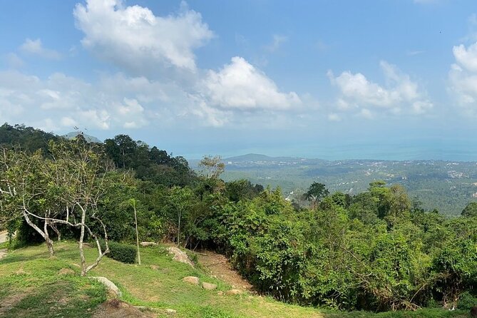Mini ATV Safari 1 Hours Jungle Adventure Tour on Koh Samui - Common Questions