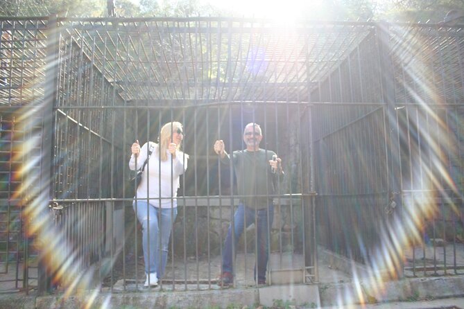 Mini-Car Discover Los Angeles Tour Sunny Day Scoot - Booking Information