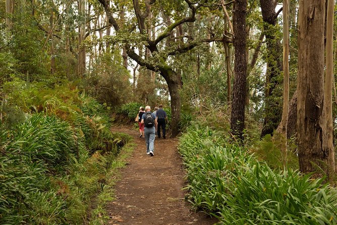 Mini -Combo East Challenge (Jeep Safari & Levada Walk) - Overview and Itinerary