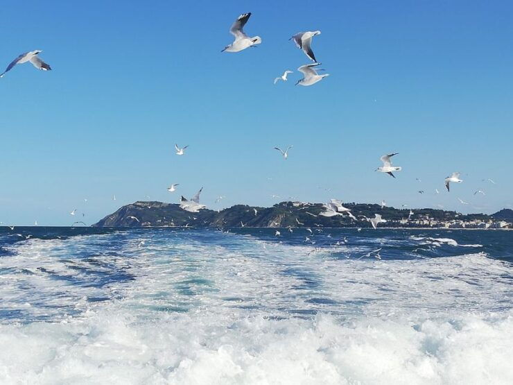Mini Cruise From Cesenatico to the San Bartolo Promontory - On-Board Activities and Highlights