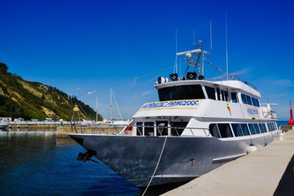 Mini Cruise From Cesenatico to the San Bartolo Promontory - Important Reminders and Restrictions