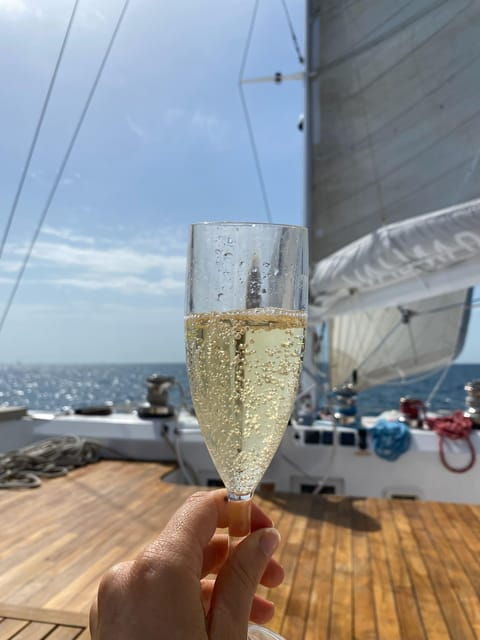 Mini Cruise on a Maxi Catamaran (Trinité-Sur-Mer/Belle-Ile) - Onboard Amenities