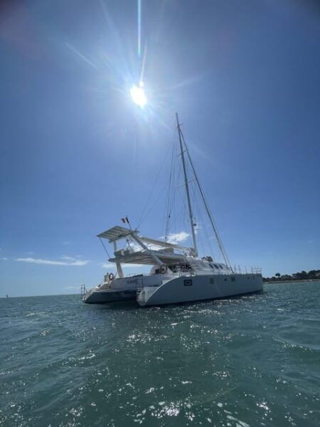 Mini Cruise on a Maxi Catamaran (Trinité-Sur-Mer/Belle-Ile) - Scenic Highlights