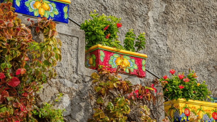 Mini Cruise Positano Amalfi - Accessibility Considerations