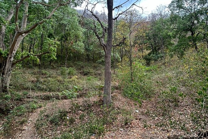 Mini Gartang Gali Trek From Rishikesh - What To Expect