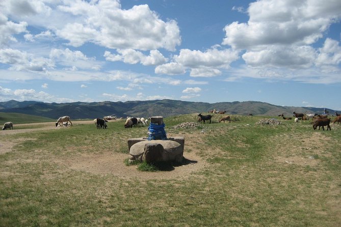 Mini Gobi and the Ancient Capital Kharkhorin - 4 Days - Good To Know