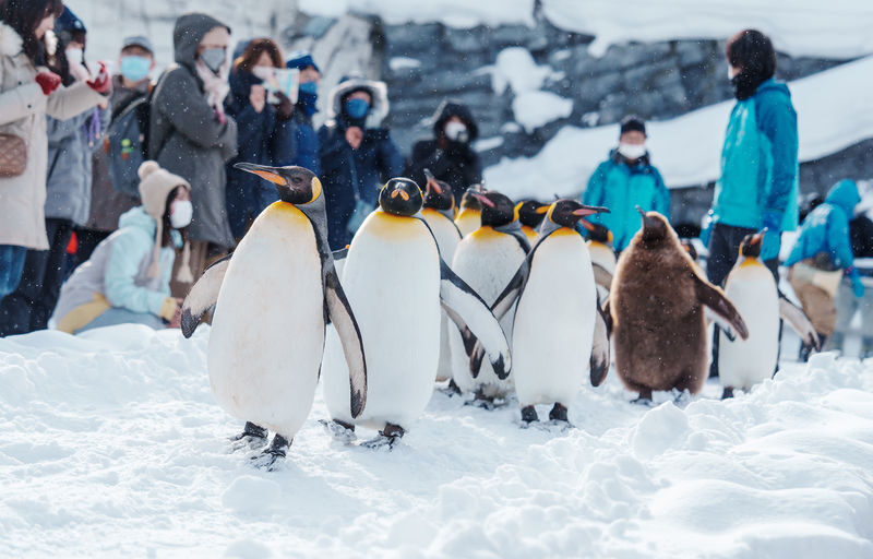 Mini Group for 9 People, Hokkaido Asahikawa & Biei One Day Tour - A Sapporo day that reaches Asahikawa and Biei
