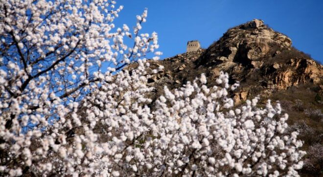 Mini Group Tour Of Beijing Great Wall Including Hotel Pickup - Frequently Asked Questions