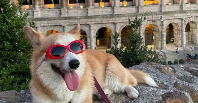 Mini Group! Tour the Colosseum, Palatine Hill, Roman Forum - Itinerary Breakdown