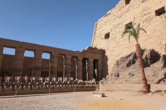 Mini Group Tour to Luxor and Valley of the Kings From Hurghada - Transportation Options