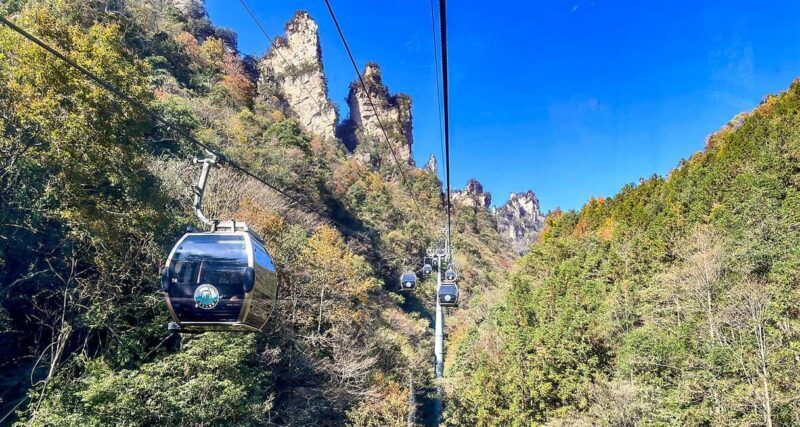 Mini Group Tour: Zhangjiajie Forest Park & Avatar Mountains - Good To Know  