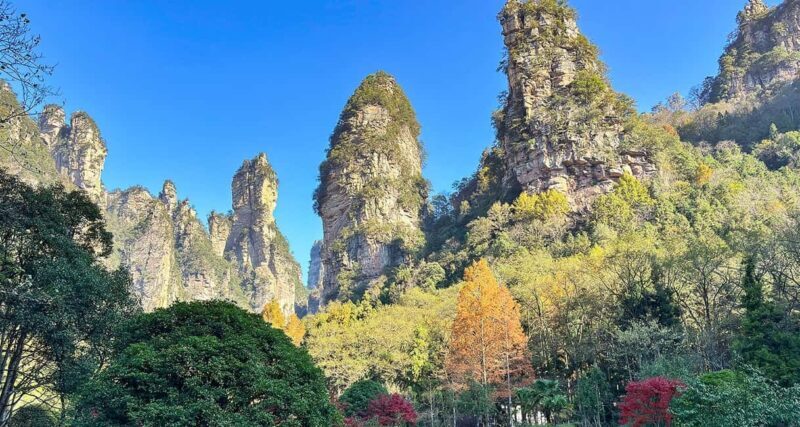 Mini Group Tour: Zhangjiajie Forest Park & Avatar Mountains - Authentic Insights from Reviews