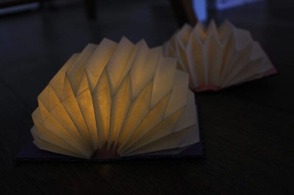 Mini Origami Lamp and Mizuhiki Knot Belt Workshop in Ueno - Feedback and Reviews