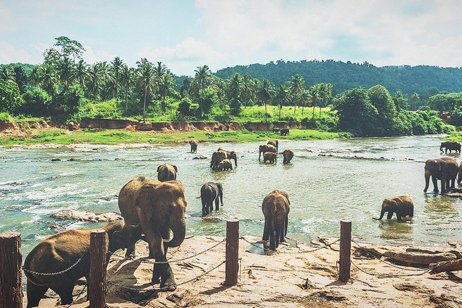 Mini Sri Lanka Tour 4 Nights 5 Days for Couple Price - The Sum Up