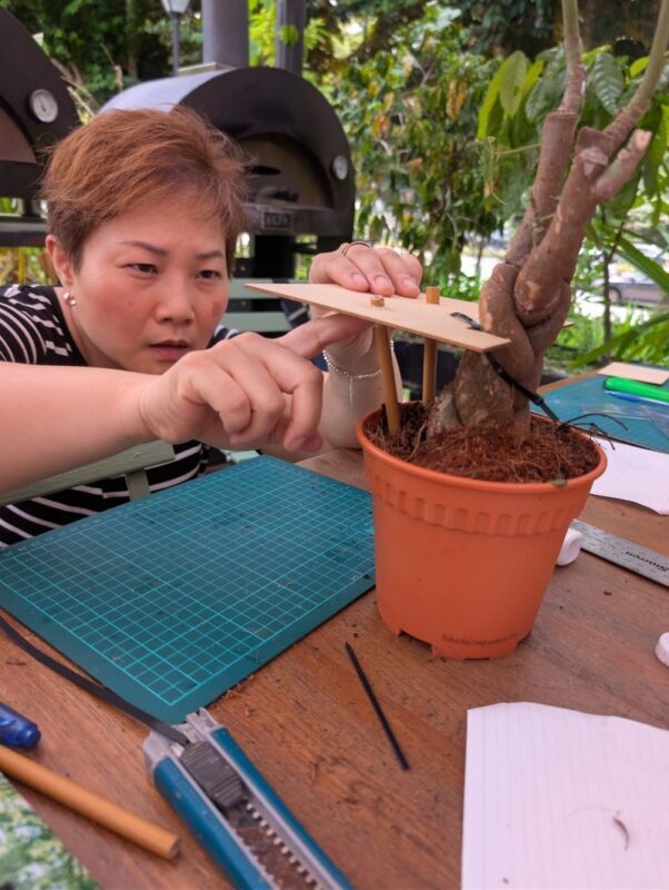 Mini Treehouse Workshop at The Sundowner - How much the workshop is worth