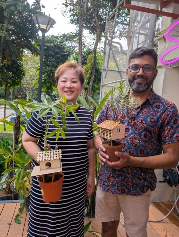 Mini Treehouse Workshop at The Sundowner - Timing, booking and access