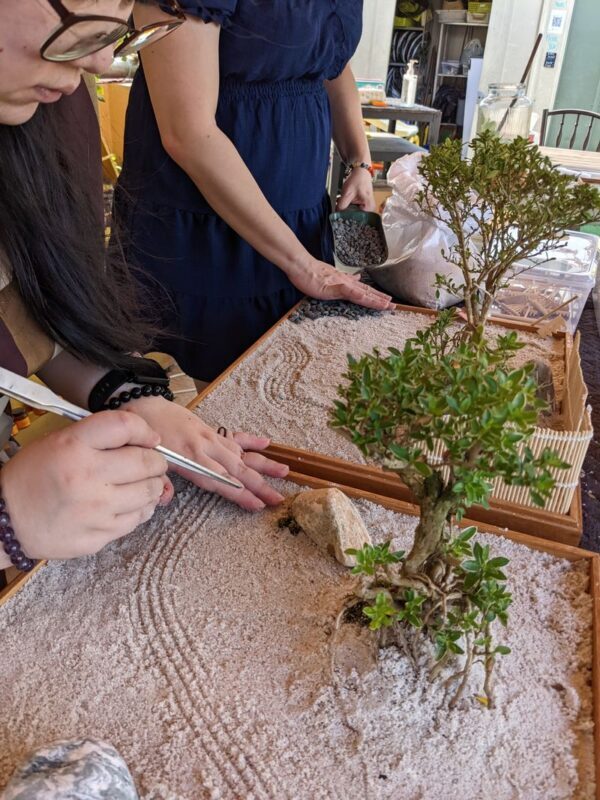 Mini Treehouse Workshop at The Sundowner - Should you book The Sundowner workshop?