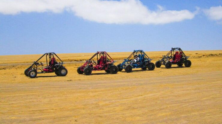 Minibuggy Adventure and Visit to the Paracas Reserve - Booking Details for the Minibuggy Adventure