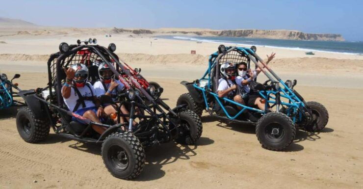 Minibuggy Adventure and Visit to the Paracas Reserve - Activity Information and Pricing