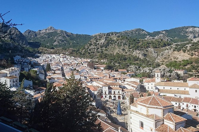Minibus Tour - White Villages and Grazalema NP - Inclusions