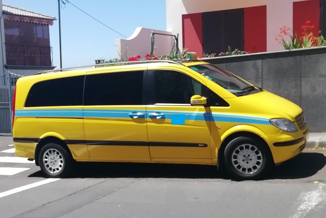 Minibus Transfer: Madeira Airport - Funchal - Accessibility and Amenities