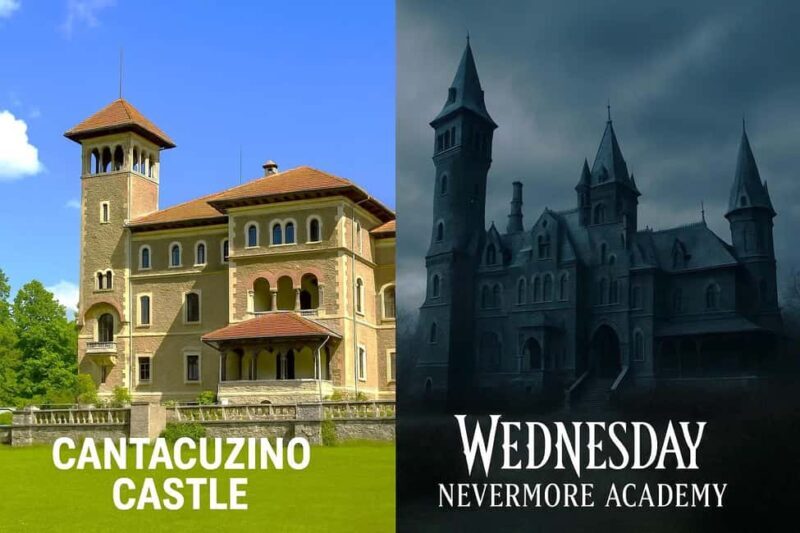 Minivan 3 Castles Day trip Peles, "Wednesday" & Dracula - The Sum Up: Who Is This Tour Best For?