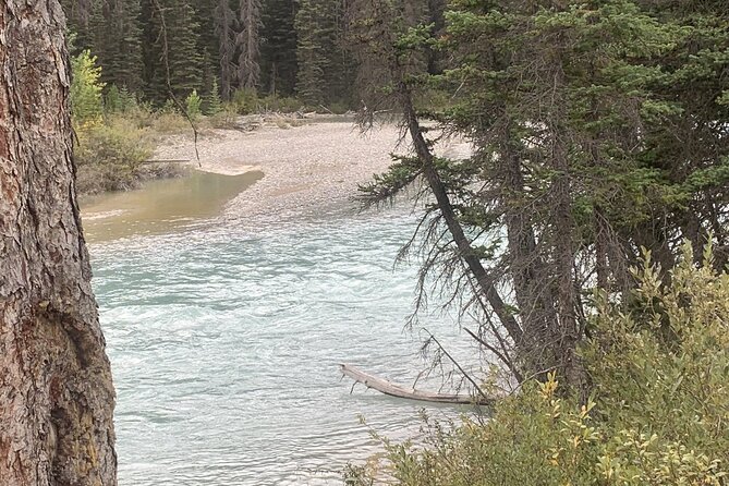 Minivan Airport Shuttle: Lake Louise --- Calgary - Meeting and Pickup