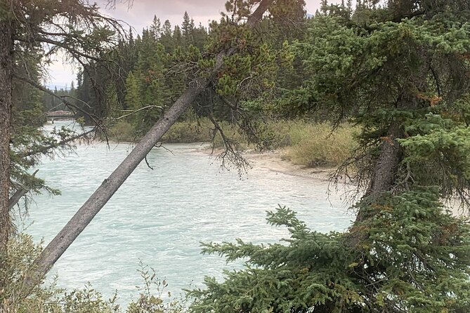 Minivan Airport Shuttle: Lake Louise --- Calgary - Common Questions