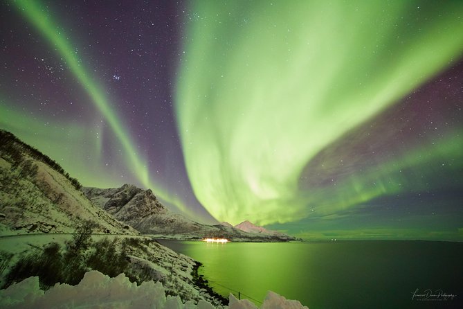 Minivan Northern Lights Excursion (Max 8 Guests per Minivan) - Overview and Inclusions