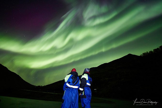 Minivan Northern Lights Excursion (Max 8 Guests per Minivan) - Meeting and Pickup