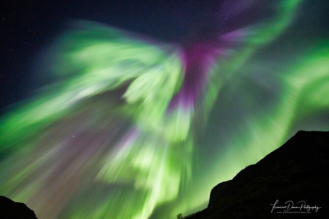 Minivan Northern Lights Excursion (Max 8 Guests per Minivan) - What to Expect