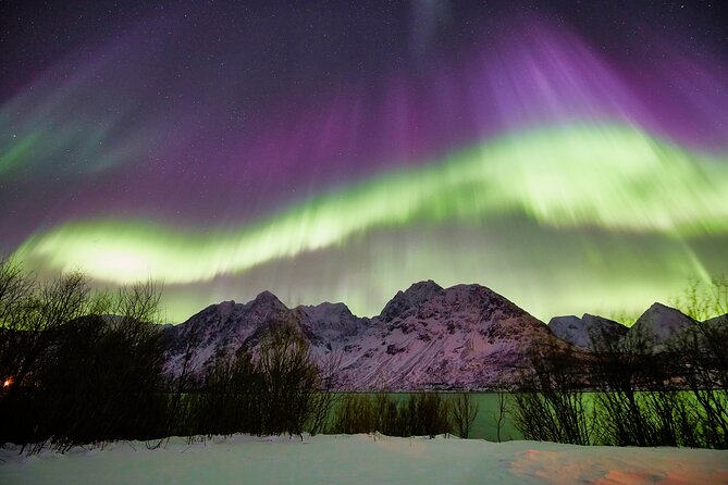 Minivan Northern Lights Excursion (Max 8 Guests per Minivan) - Cancellation Policy