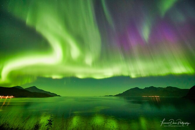 Minivan Northern Lights Excursion (Max 8 Guests per Minivan) - Customer Reviews and Recommendations