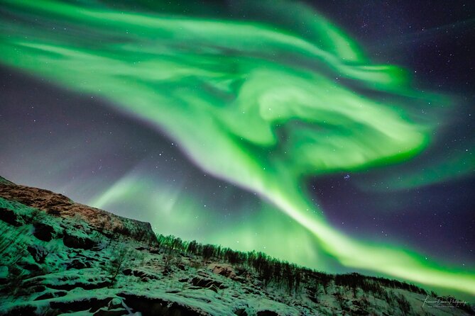 Minivan Northern Lights Excursion (Max 8 Guests per Minivan) - Northern Lights Photography Tour