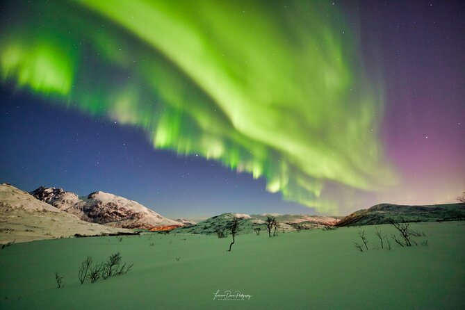 Minivan Northern Lights Excursion (Max 8 Guests per Minivan) - Trip Details