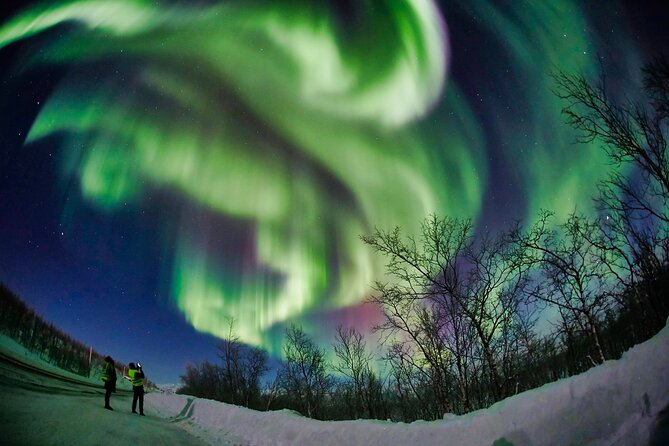 Minivan Northern Lights Excursion (Max 8 Guests per Minivan) - Tips for Capturing the Northern Lights