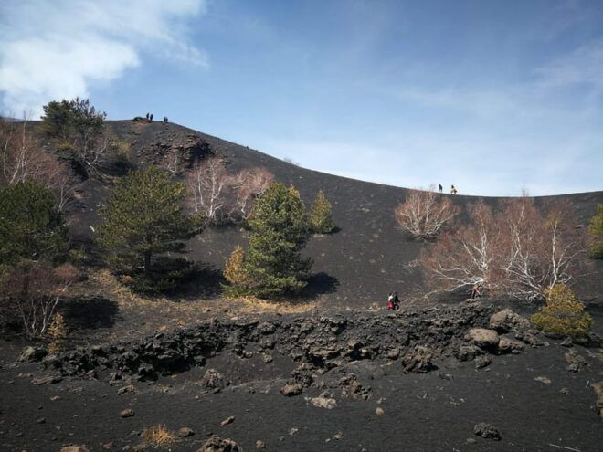 Minivan Tour From Siracusa to Mount Etna - Travel Experience