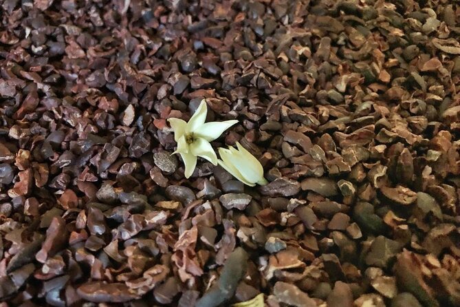 Minivan Tour From Syracuse to Ragusa, Noto and Modica - Pricing and Booking