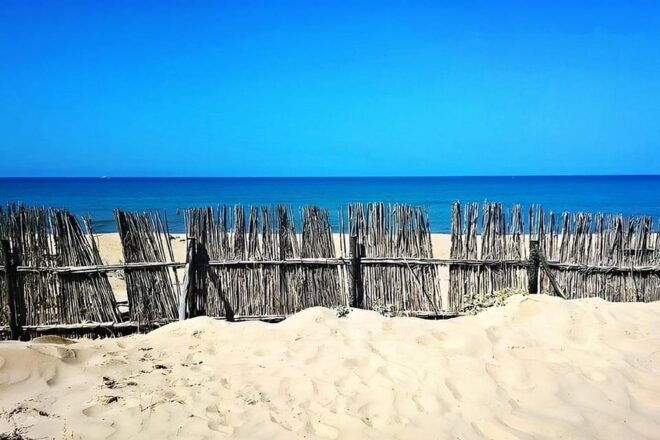 Minivan Tour From Syracuse to the Most Beautiful Beaches - Booking Your Adventure