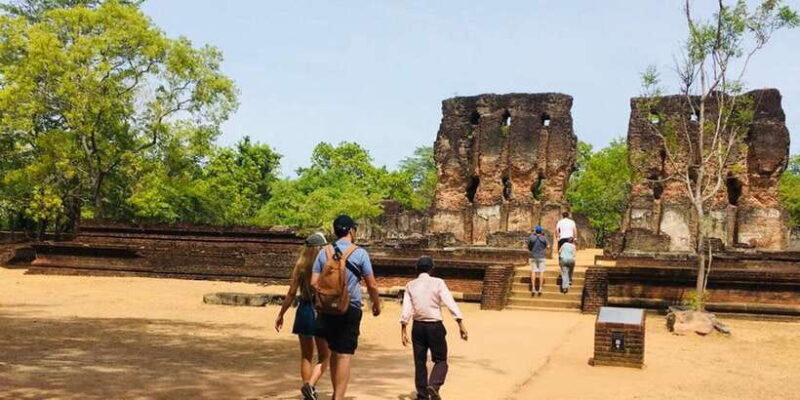 Minneriya Elephant Safari & Polonnaruwa Ancient Place Tours - Lunch and Recharge