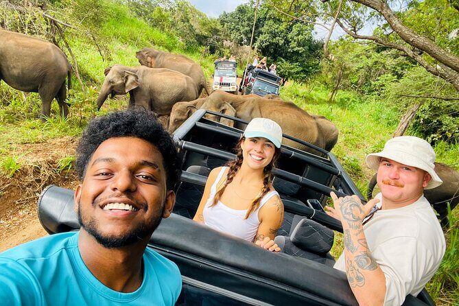 Minneriya Elephant Safari with Driver and Guide - Good To Know